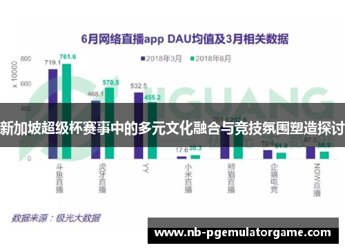 新加坡超级杯赛事中的多元文化融合与竞技氛围塑造探讨