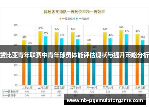 赞比亚青年联赛中青年球员体能评估现状与提升策略分析