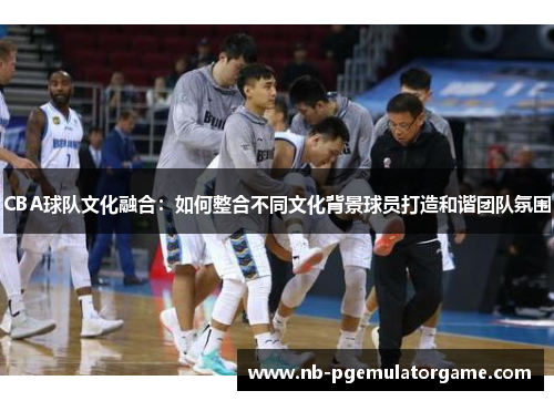 CBA球队文化融合：如何整合不同文化背景球员打造和谐团队氛围