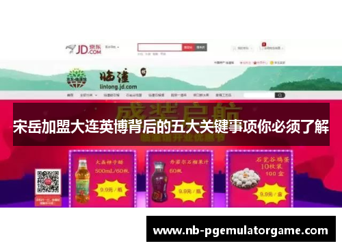 宋岳加盟大连英博背后的五大关键事项你必须了解