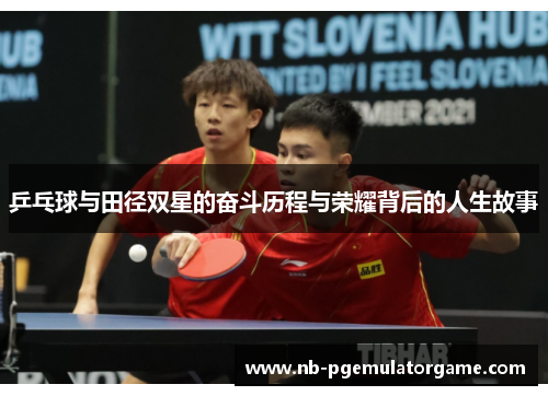 乒乓球与田径双星的奋斗历程与荣耀背后的人生故事