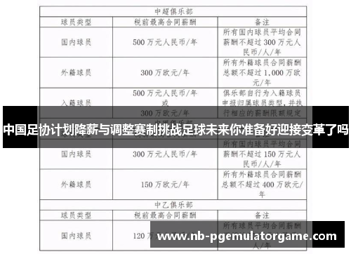 中国足协计划降薪与调整赛制挑战足球未来你准备好迎接变革了吗