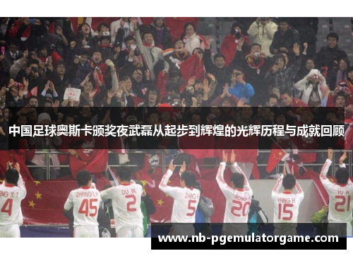 中国足球奥斯卡颁奖夜武磊从起步到辉煌的光辉历程与成就回顾