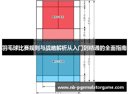 羽毛球比赛规则与战略解析从入门到精通的全面指南