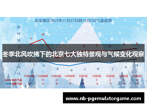 冬季北风吹拂下的北京七大独特景观与气候变化观察
