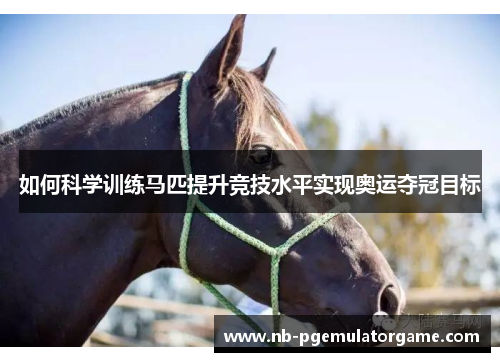 如何科学训练马匹提升竞技水平实现奥运夺冠目标