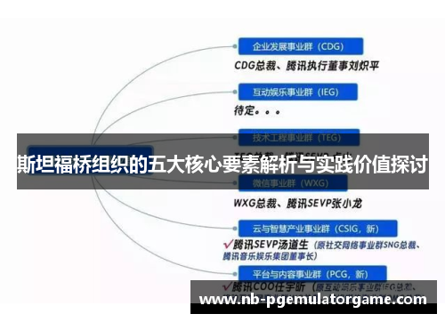 斯坦福桥组织的五大核心要素解析与实践价值探讨