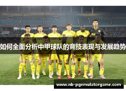 如何全面分析中甲球队的竞技表现与发展趋势