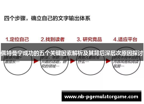 佩特曼宁成功的五个关键因素解析及其背后深层次原因探讨