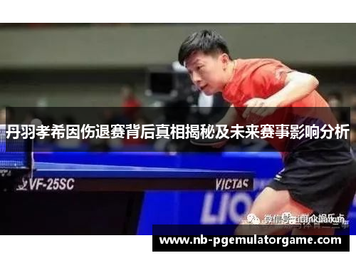 丹羽孝希因伤退赛背后真相揭秘及未来赛事影响分析