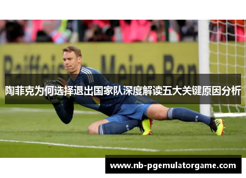 陶菲克为何选择退出国家队深度解读五大关键原因分析