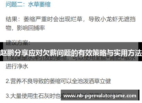 赵鹏分享应对欠薪问题的有效策略与实用方法