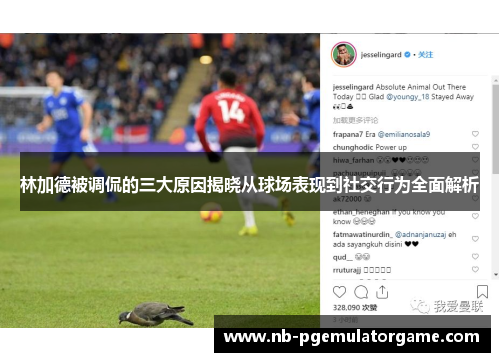 林加德被调侃的三大原因揭晓从球场表现到社交行为全面解析