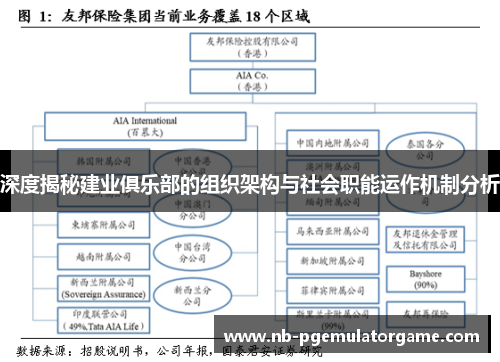 深度揭秘建业俱乐部的组织架构与社会职能运作机制分析