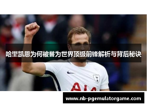 哈里凯恩为何被誉为世界顶级前锋解析与背后秘诀