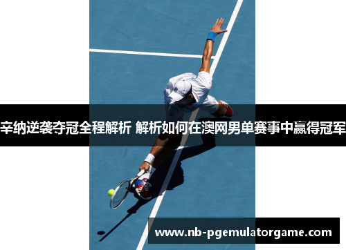 辛纳逆袭夺冠全程解析 解析如何在澳网男单赛事中赢得冠军