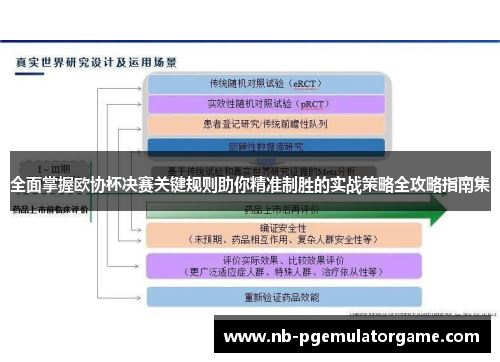 全面掌握欧协杯决赛关键规则助你精准制胜的实战策略全攻略指南集 全面掌握欧协杯决赛关键规则助你精准制胜的实战策略全攻略指南集
