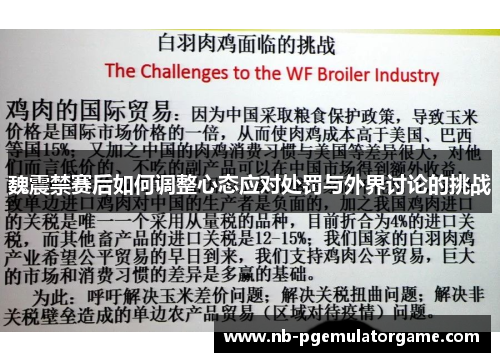 魏震禁赛后如何调整心态应对处罚与外界讨论的挑战