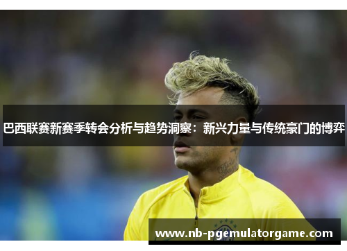 巴西联赛新赛季转会分析与趋势洞察：新兴力量与传统豪门的博弈