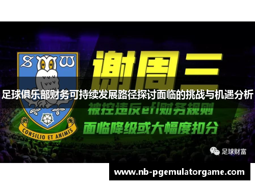 足球俱乐部财务可持续发展路径探讨面临的挑战与机遇分析