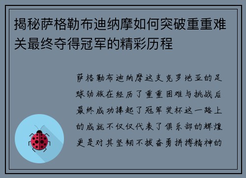 揭秘萨格勒布迪纳摩如何突破重重难关最终夺得冠军的精彩历程
